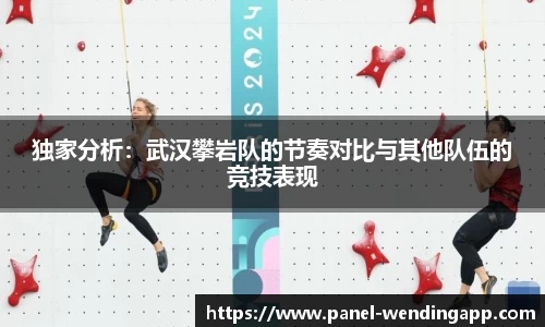 独家分析：武汉攀岩队的节奏对比与其他队伍的竞技表现